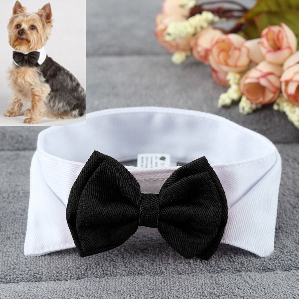 Tuxedo Bow Collar Collar For Dog or Cat