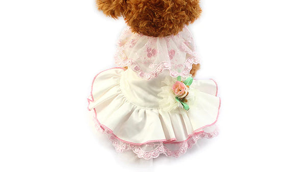 Model 236 Rosie Pink Lace Doggie Wedding Dress