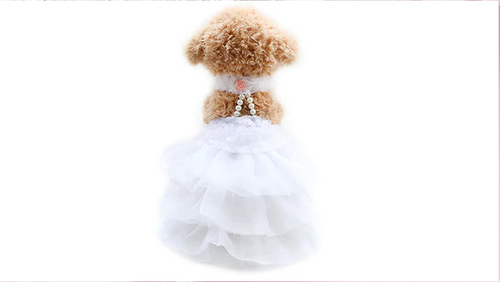 Model 244 Shimmering Tulle W/ Pearl Collar Doggie Wedding Dress