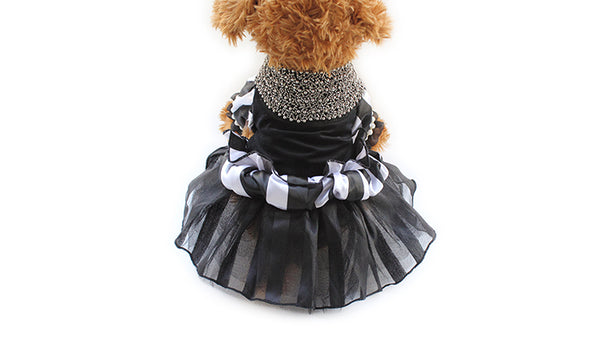 Model 249 Black Elegance Formal Doggie Dress