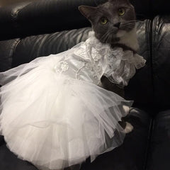 Model 411 Lace & Tulle Tutu Kitty Wedding Dress - Avail. in 2 Colors
