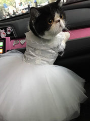Model 411 Lace & Tulle Tutu Kitty Wedding Dress - Avail. in 2 Colors