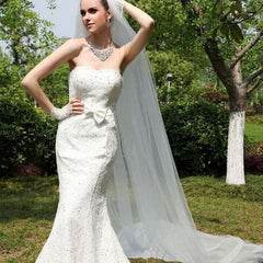 Elegant Long Trailing Soft Bridal Veil with comb
